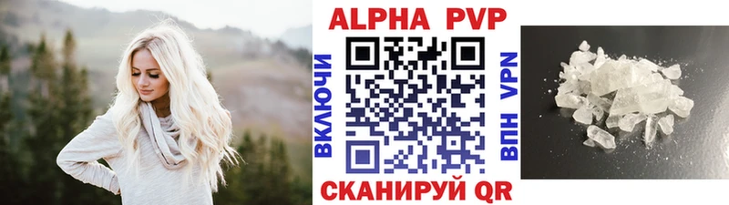 A PVP СК Надым