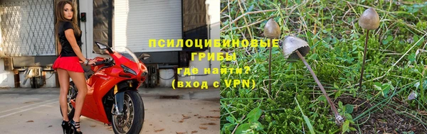 дурь Богородск