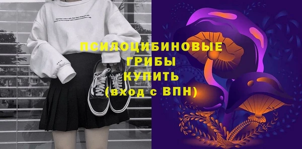 ешки Богородицк