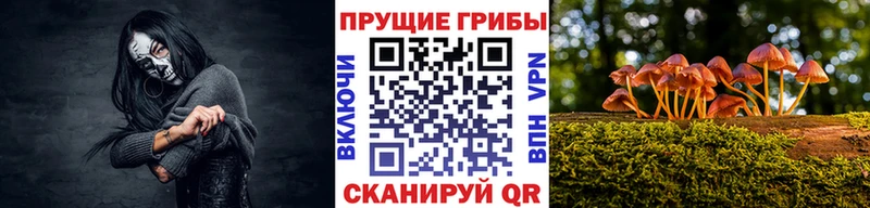 Псилоцибиновые грибы Magic Shrooms  наркошоп  mega рабочий сайт  Надым 